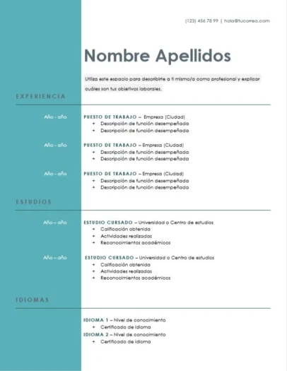 curriculum cronologico ejemplo