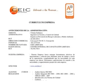 hacer cv empresarial