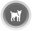 Logo icono veterinario